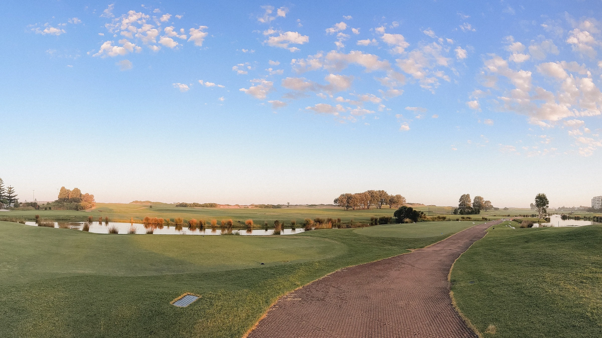 The Back Nine