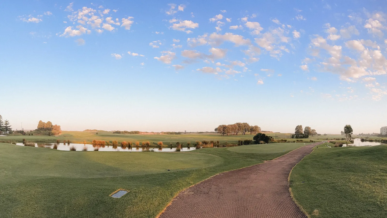 The Back Nine
