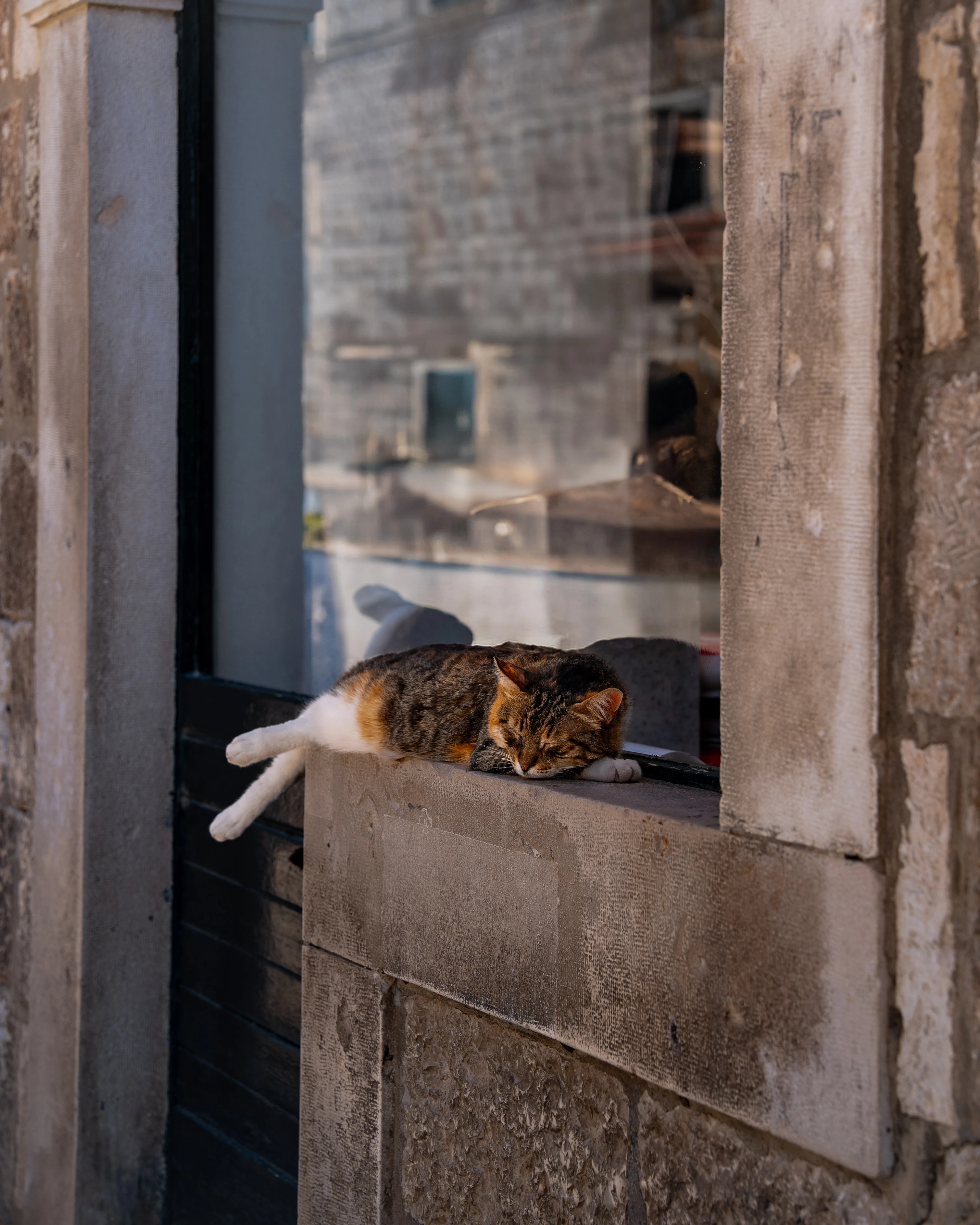 Window Seat