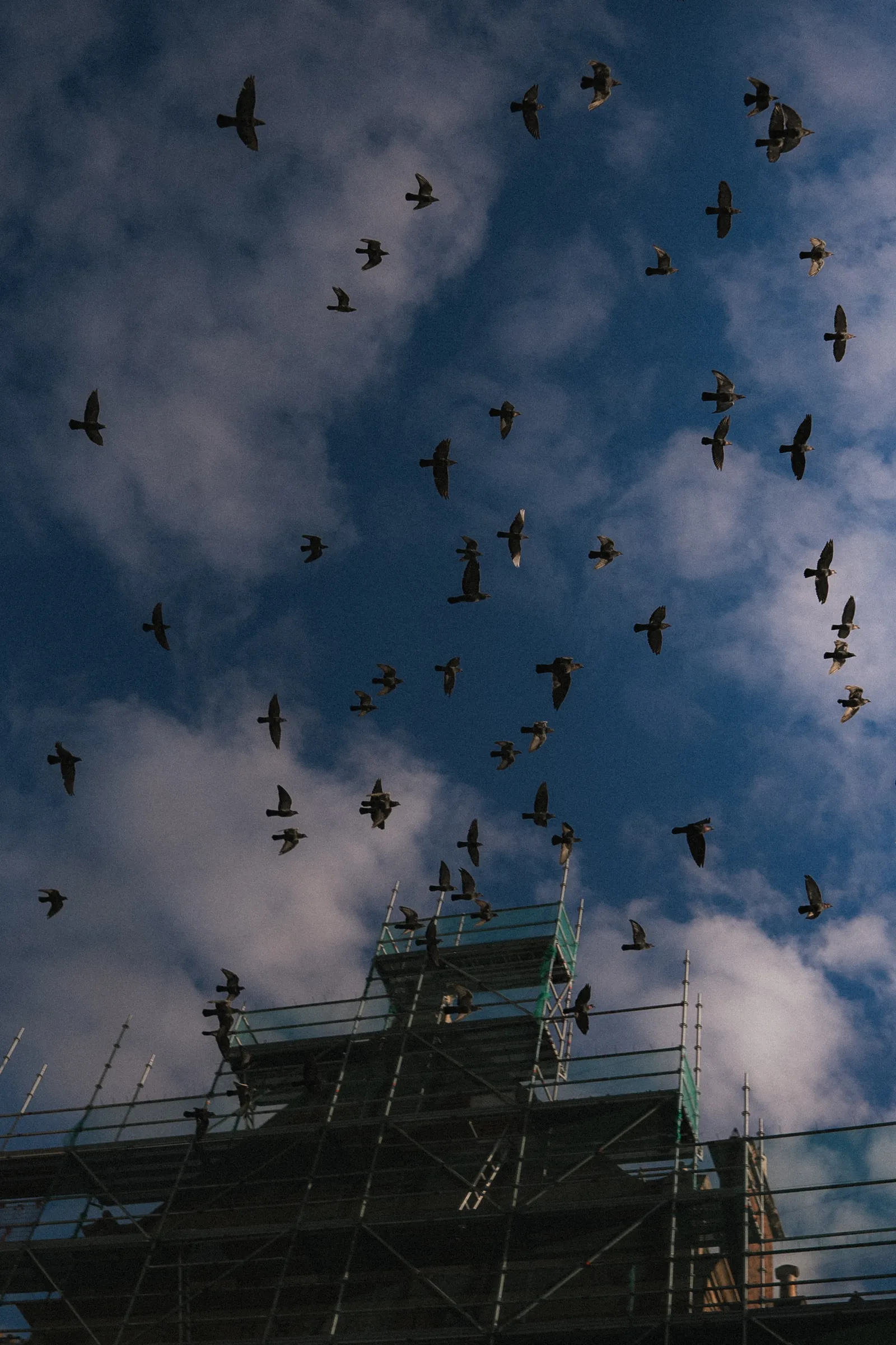 Air Traffic