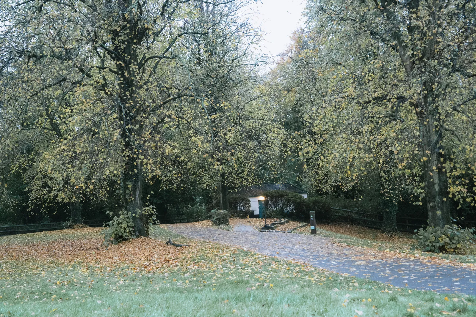 The Scenic Route