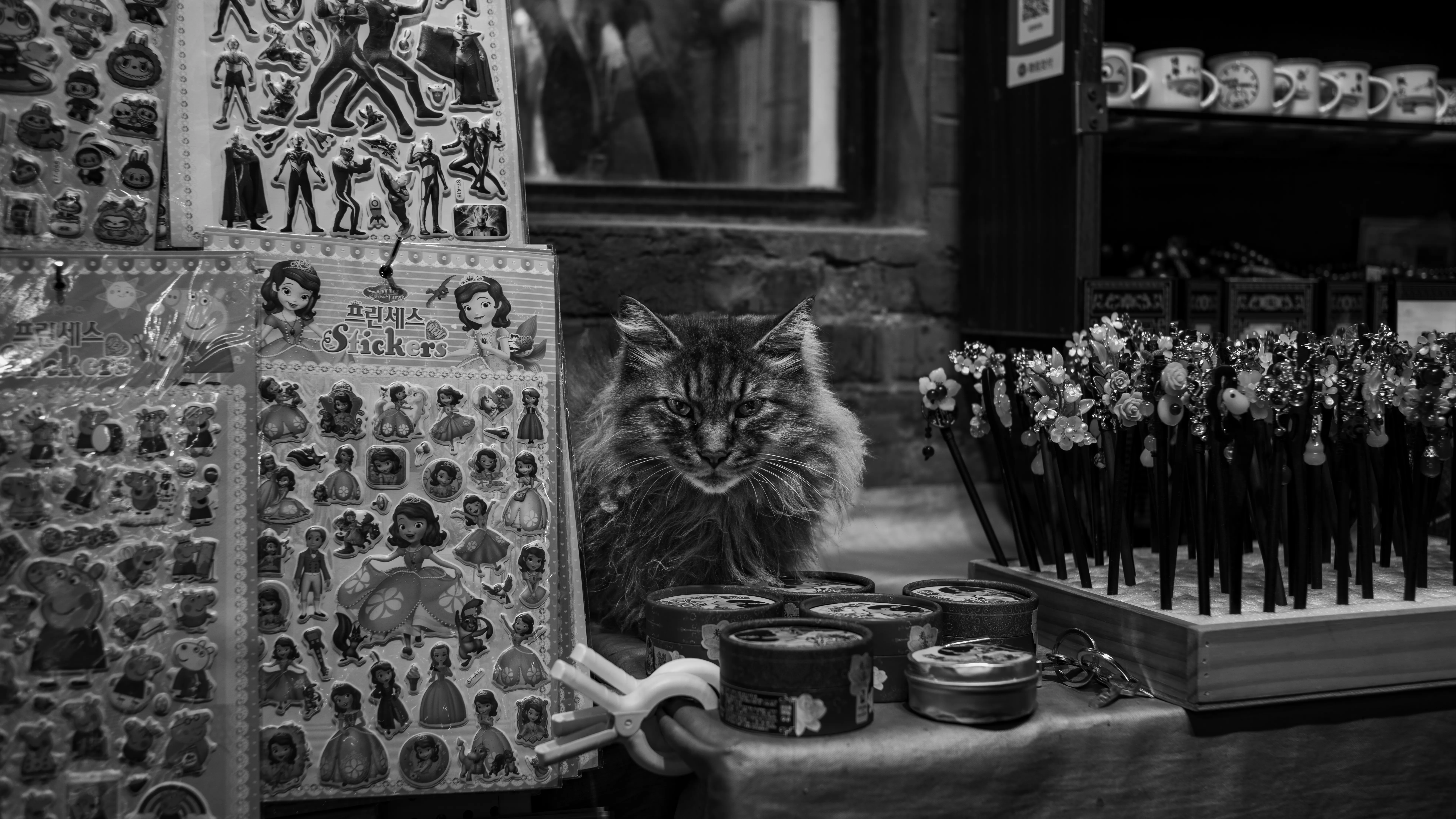 Shopkeeper