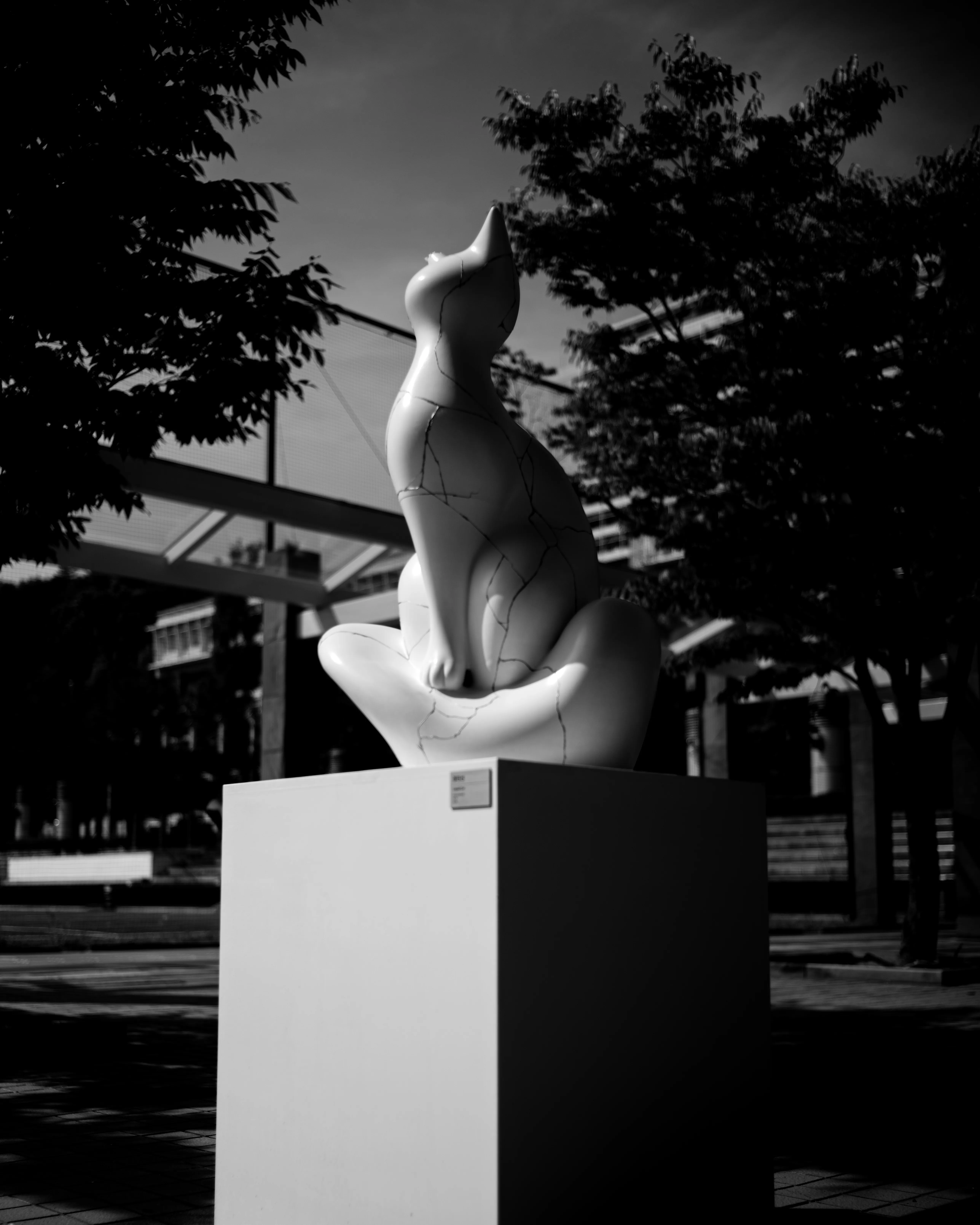 Cat on a Pedestal