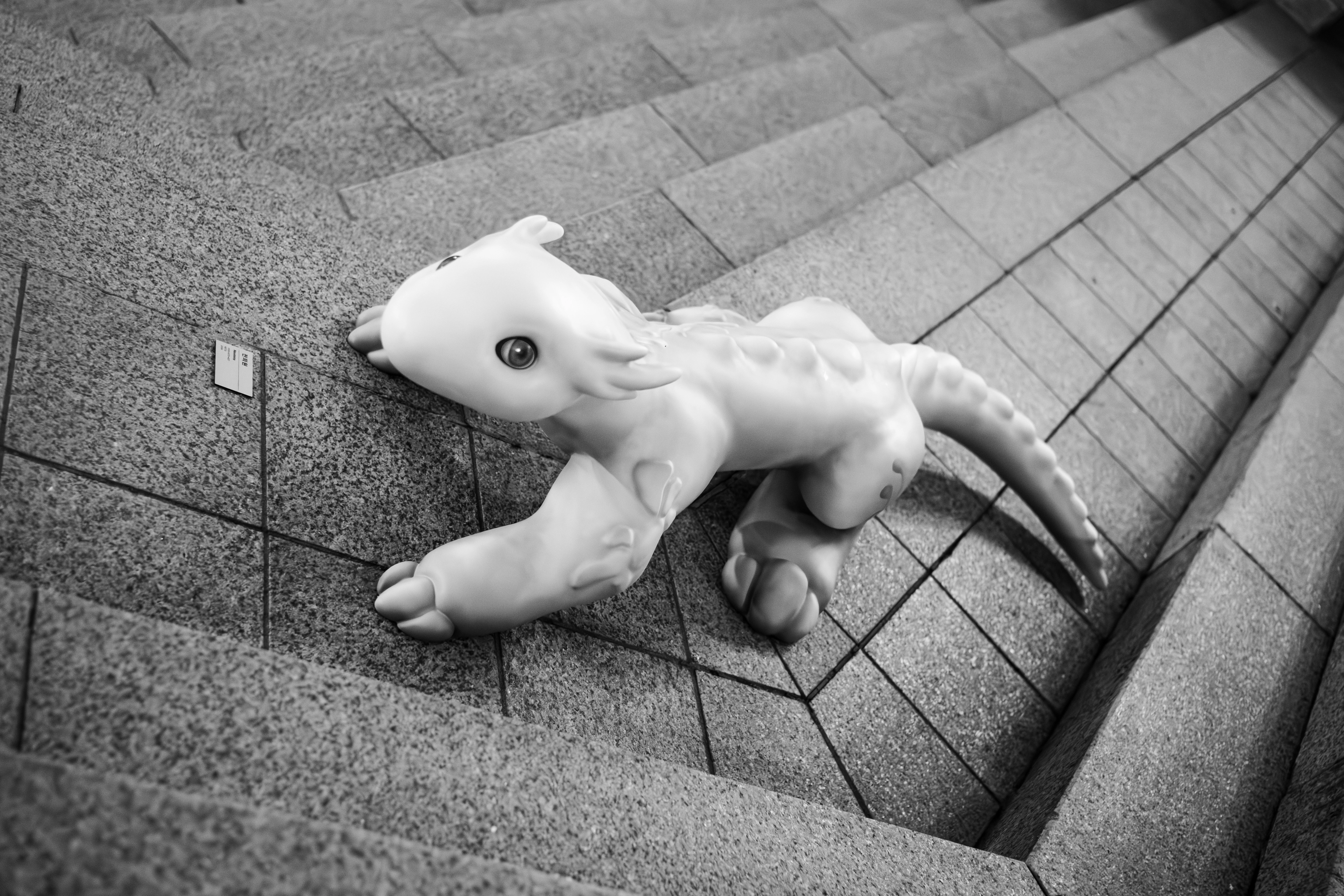 Hatchling