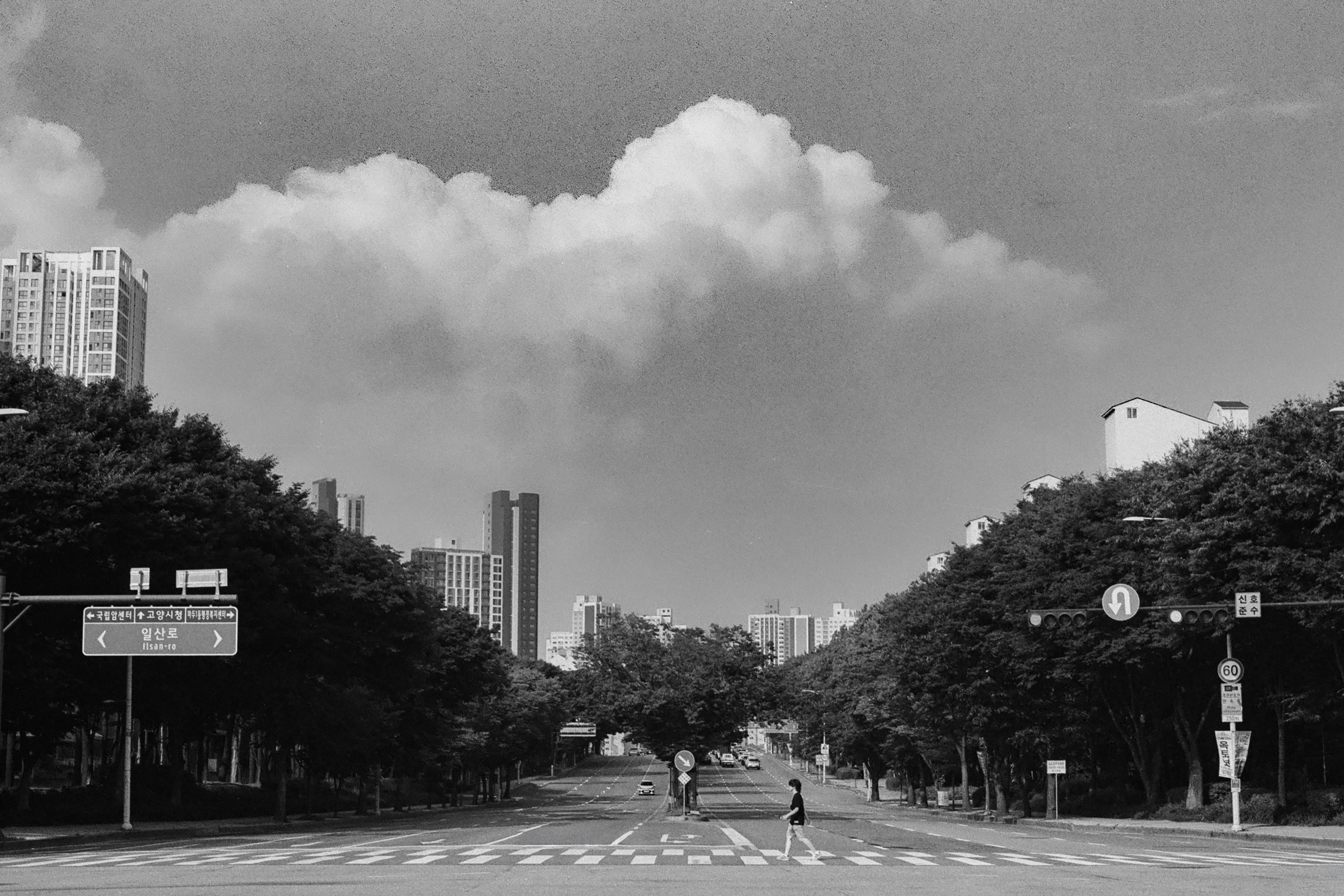 Summer Cloud