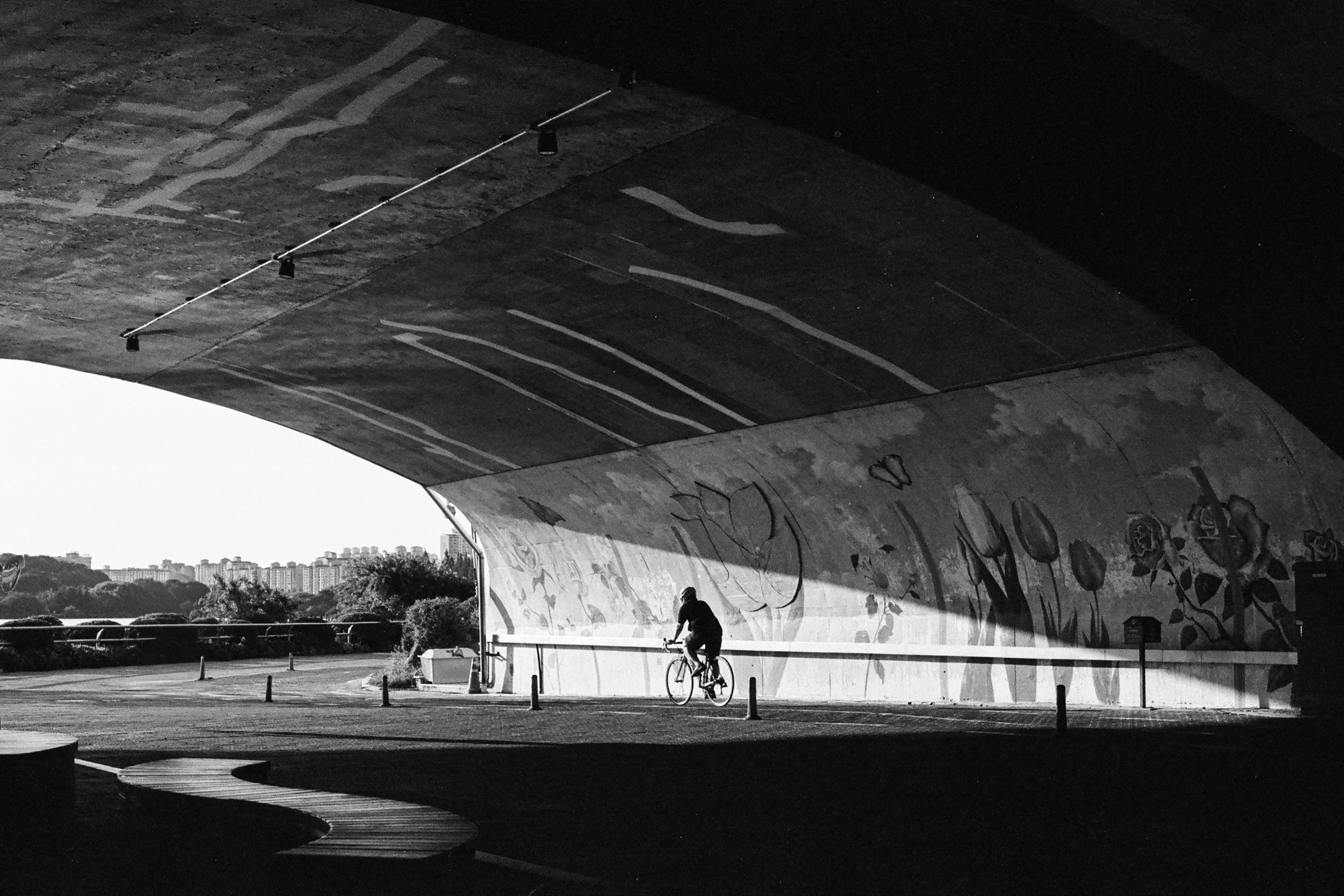 Into the Light