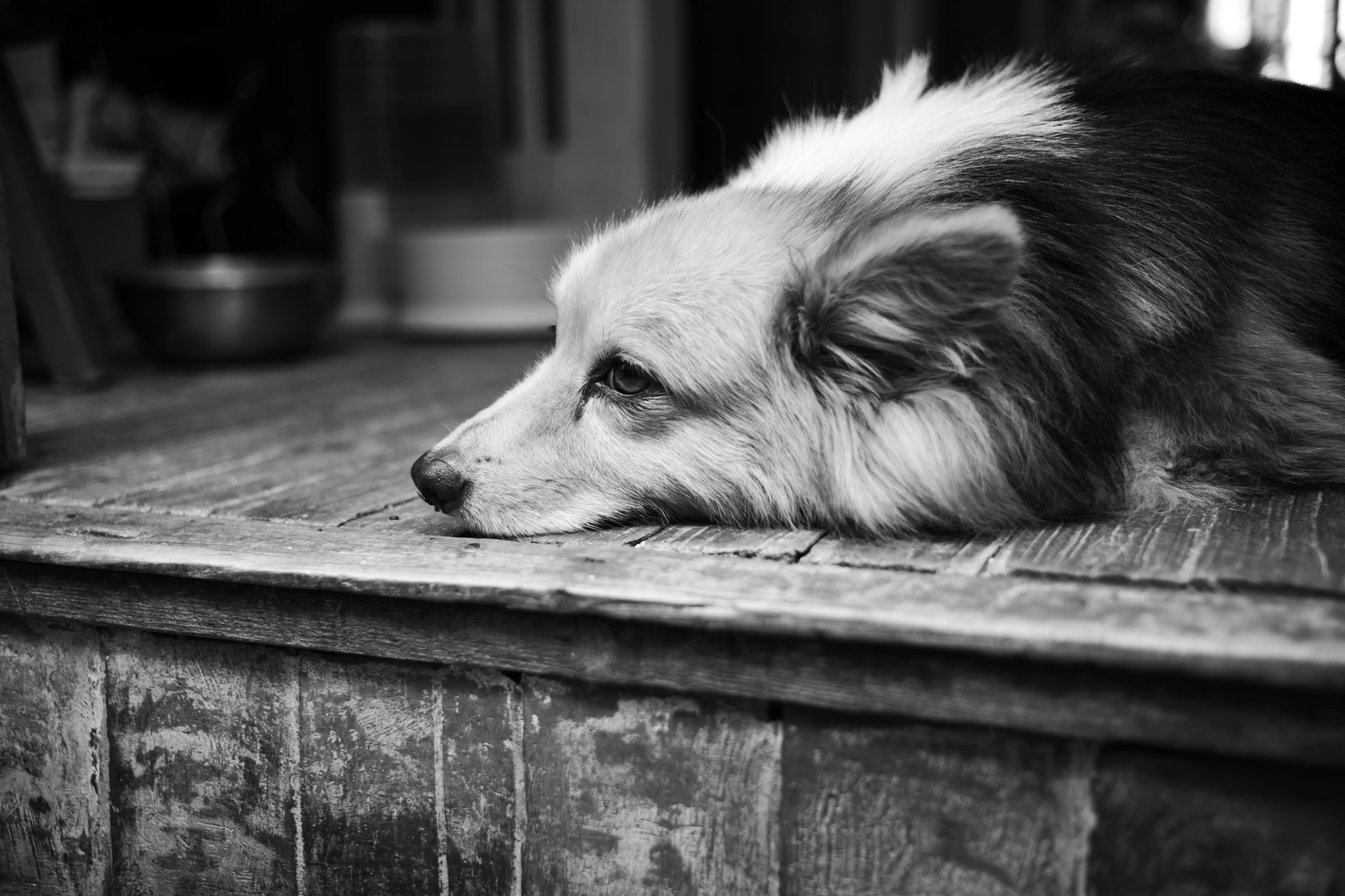 Long Afternoon