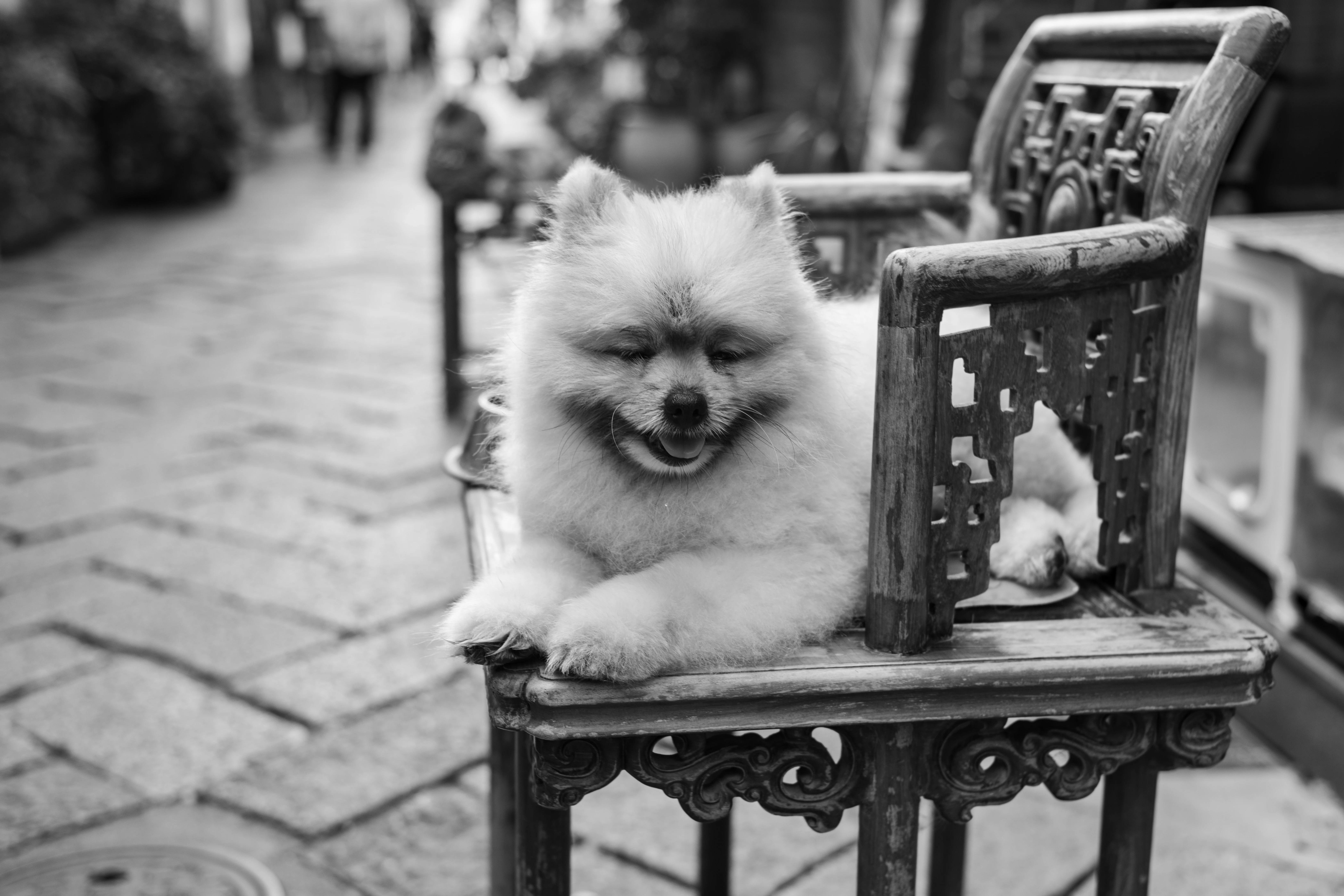 The Throne