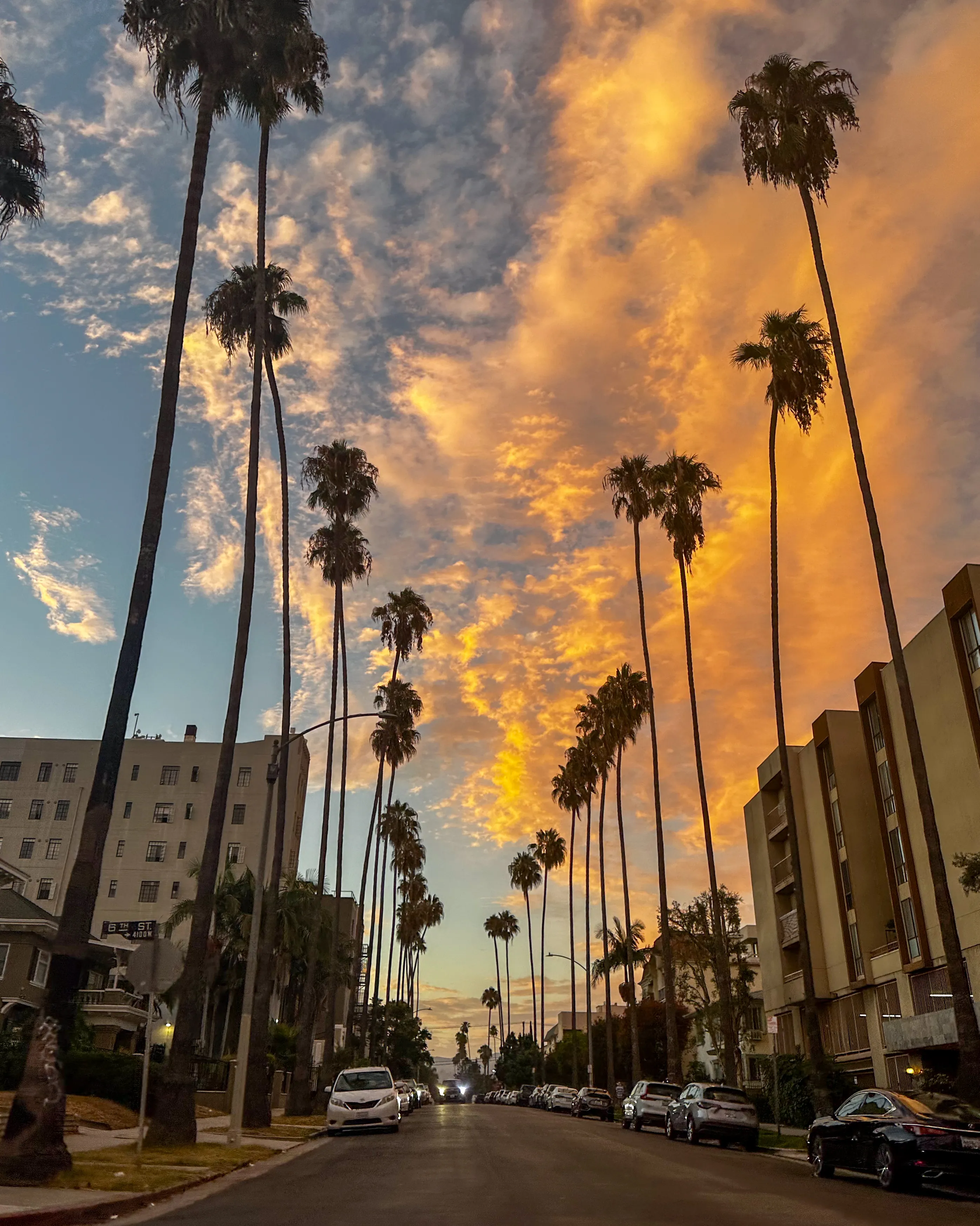 Palms on Fire
