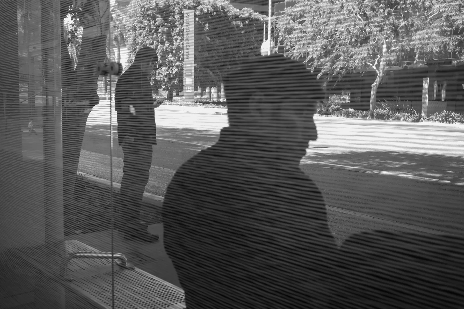 Through the Blinds