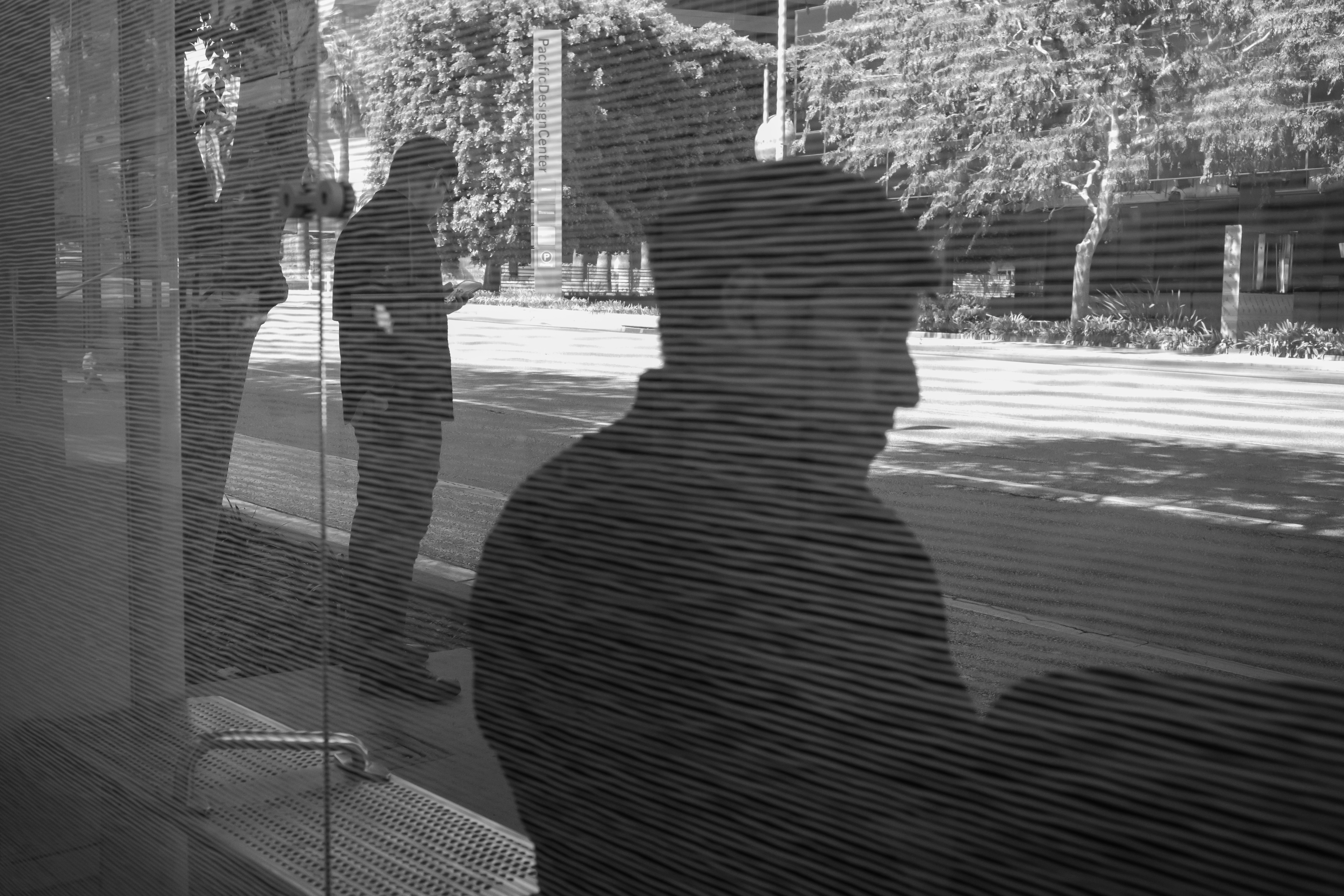 Through the Blinds