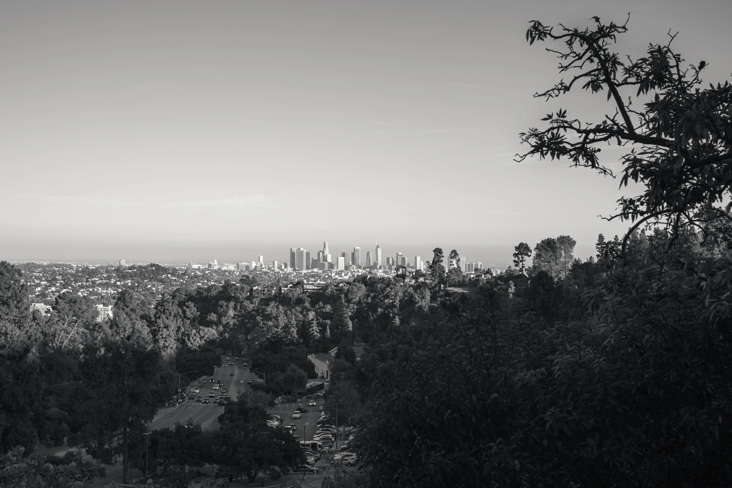 The Far City