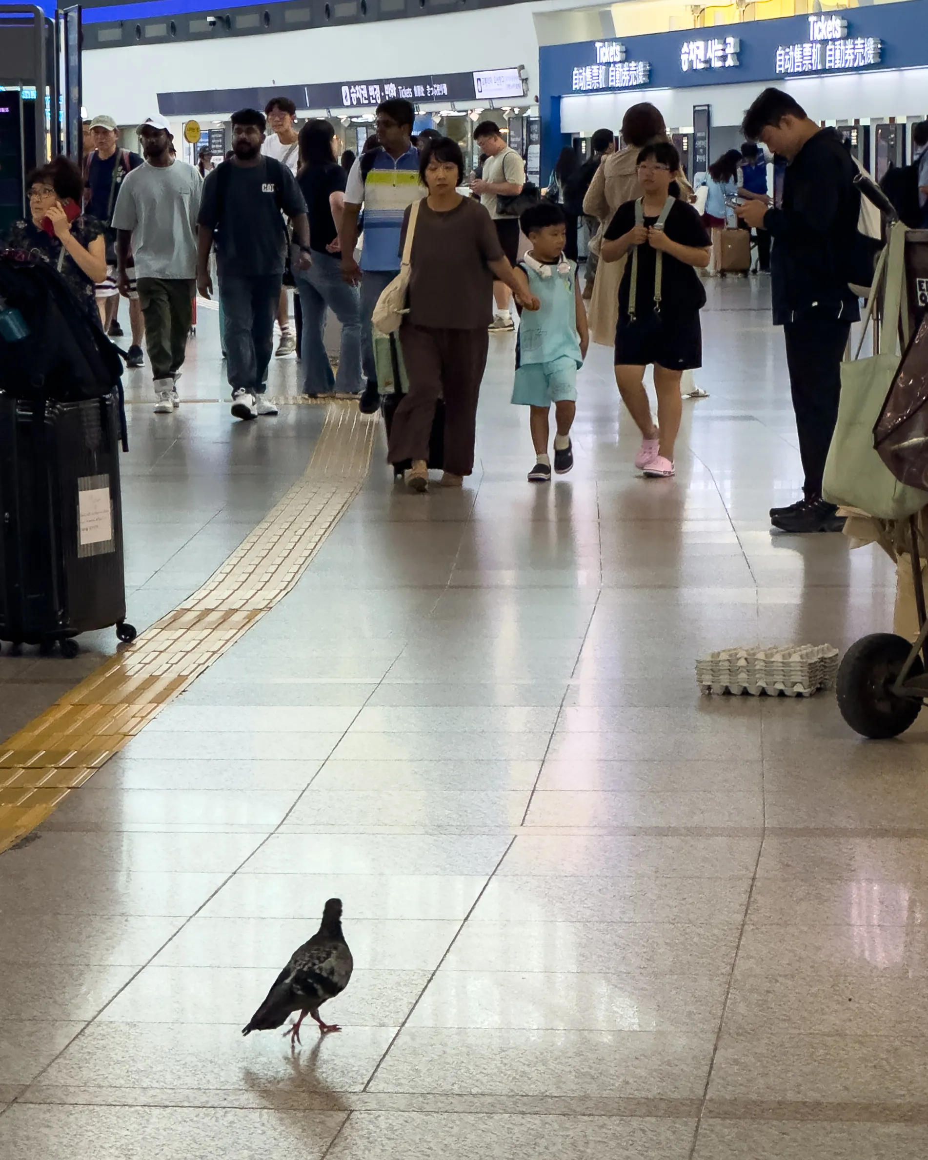 Commuter