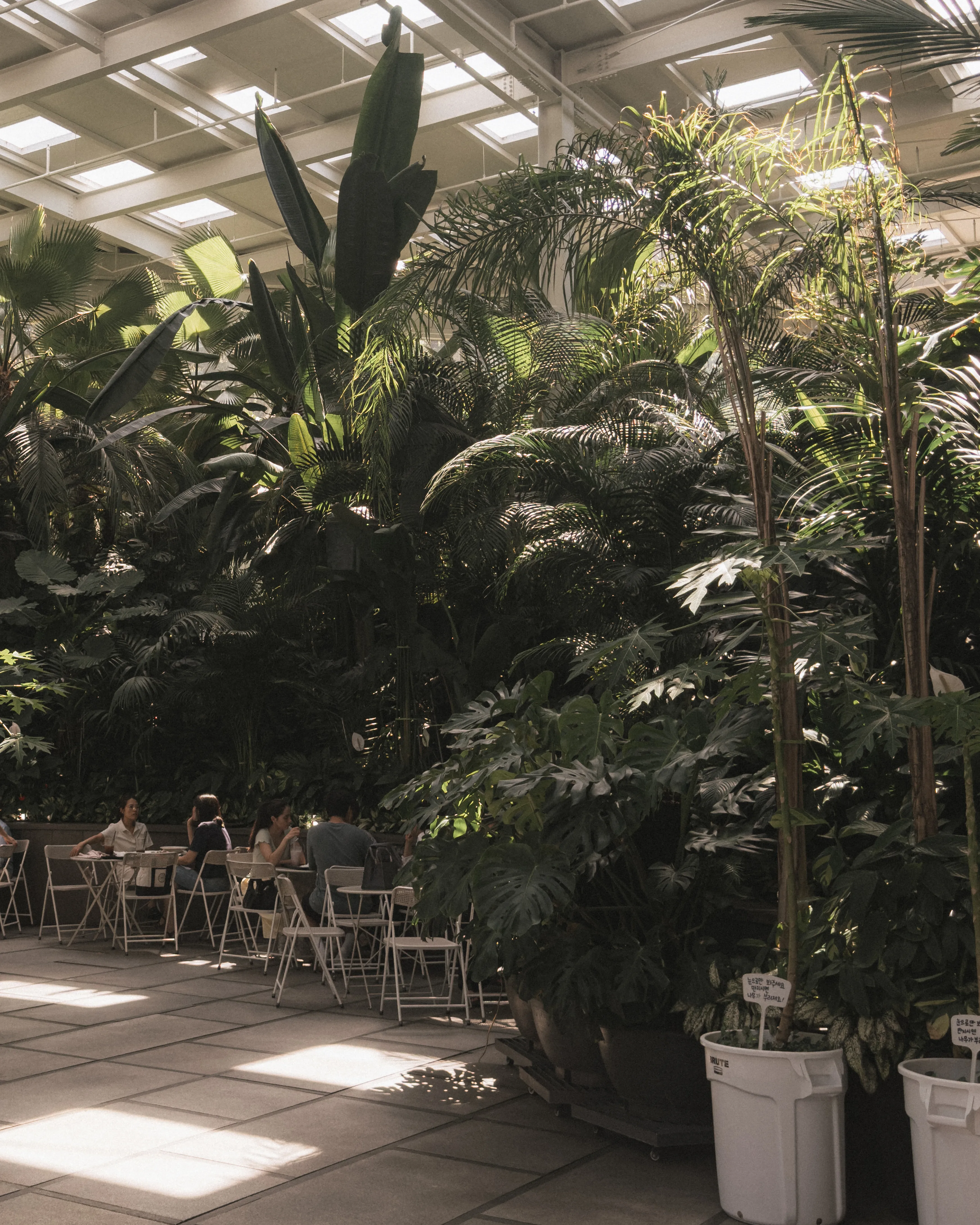 The Greenhouse