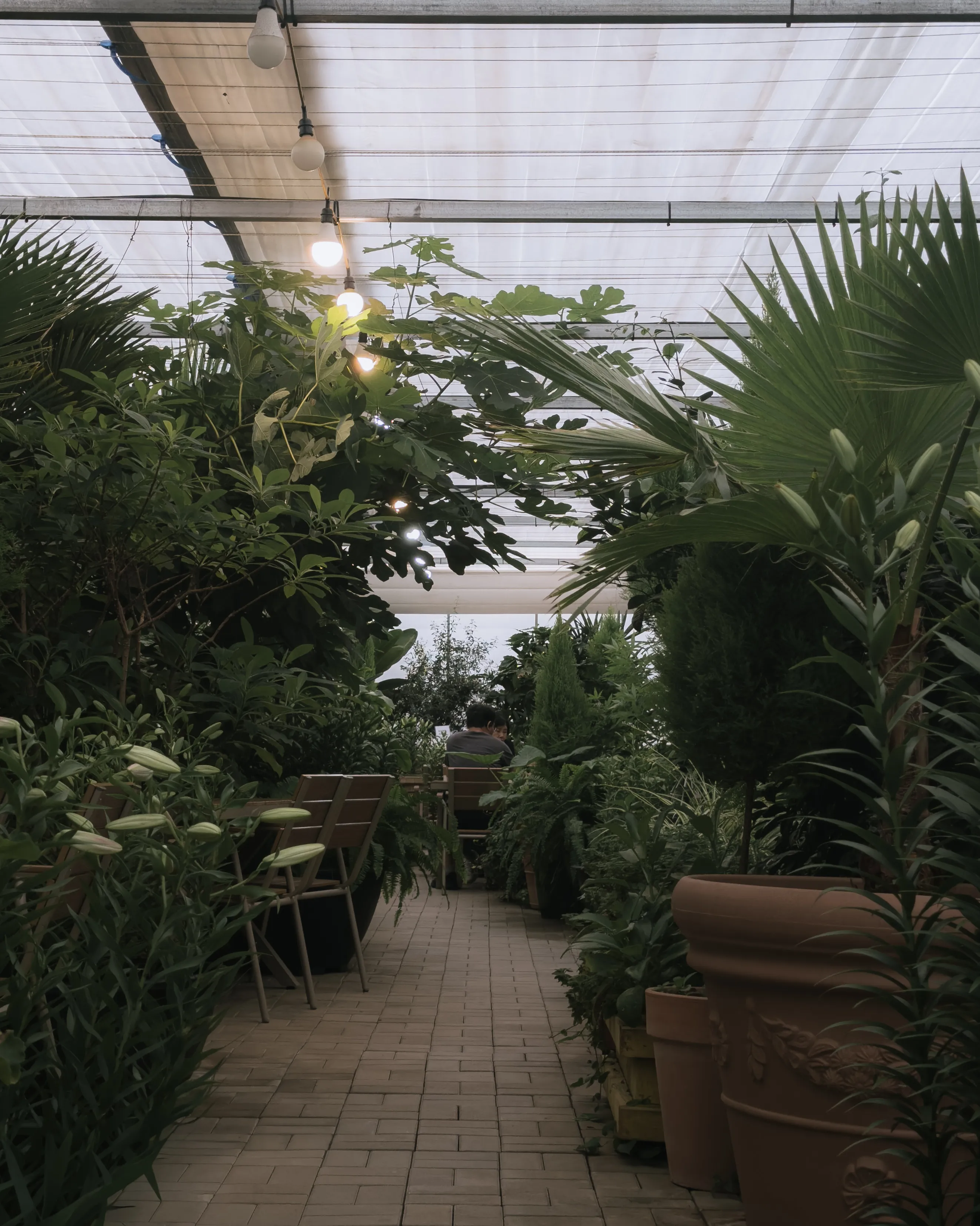 Garden Path