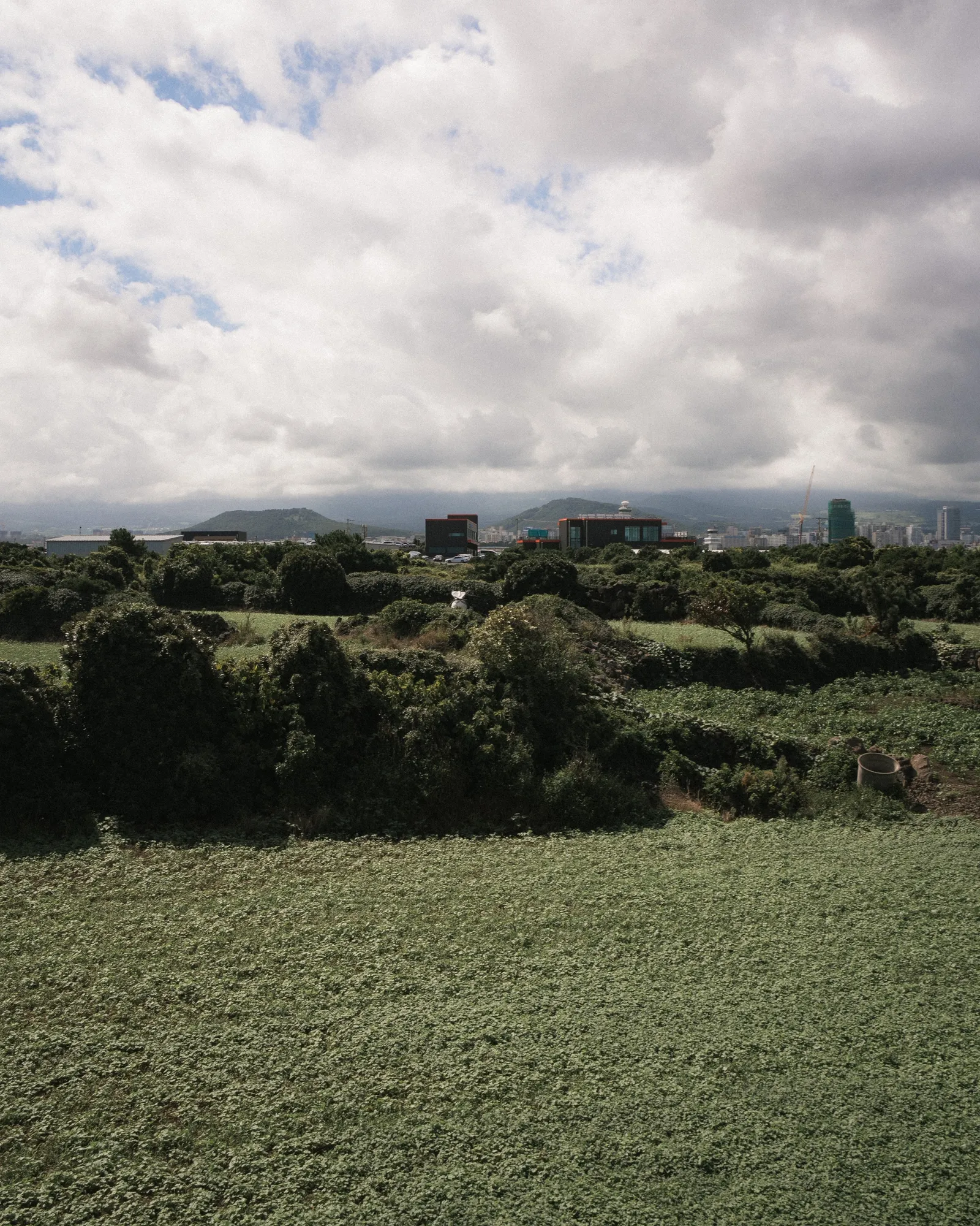 Beyond the Fields