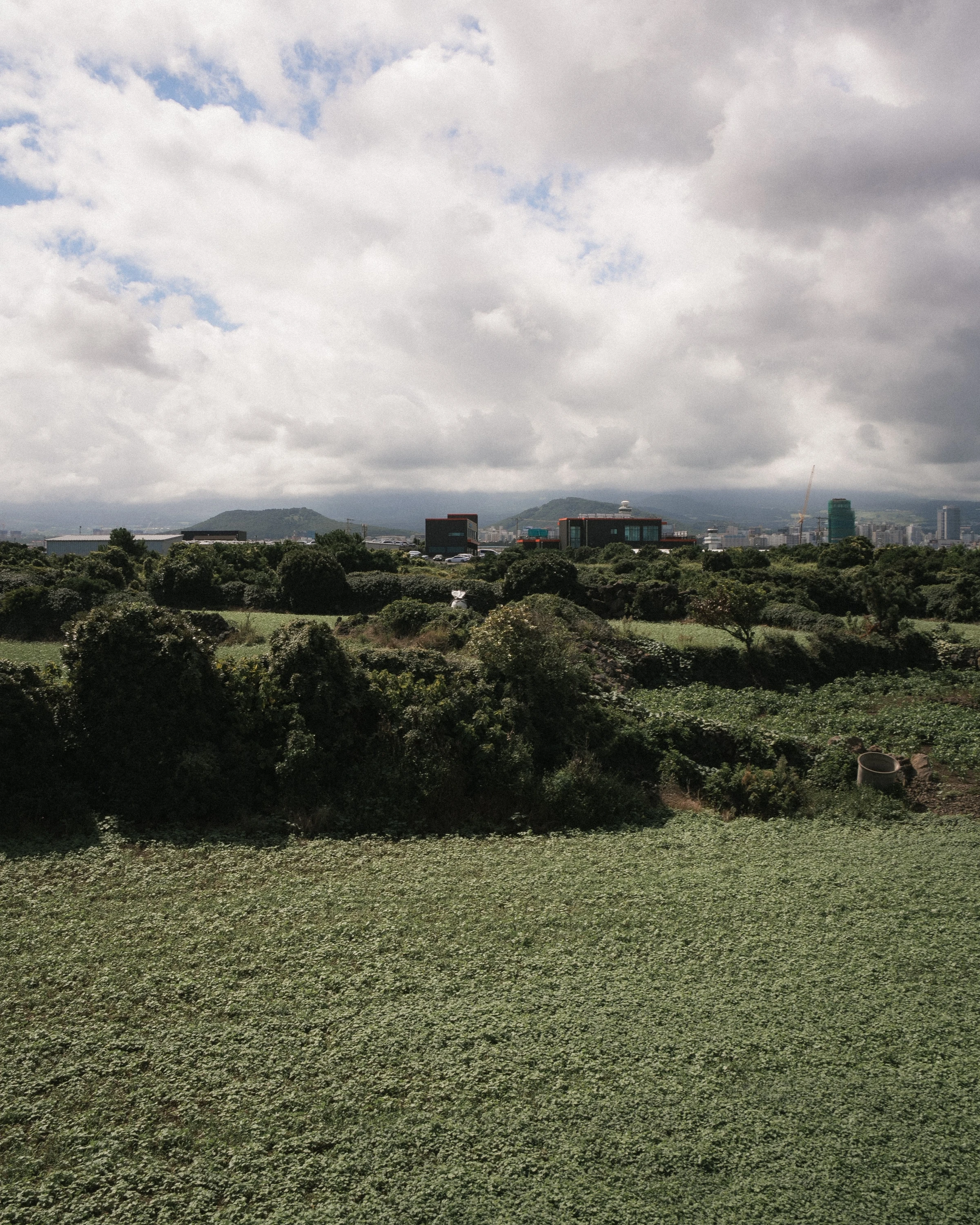Beyond the Fields