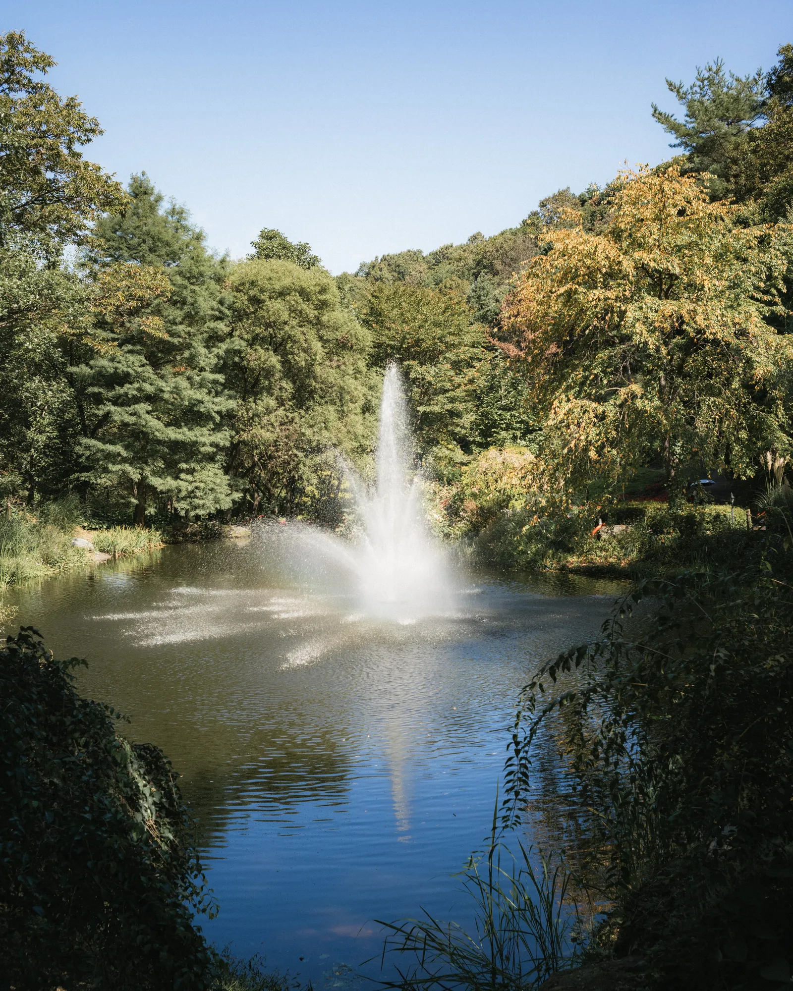 The Fountain