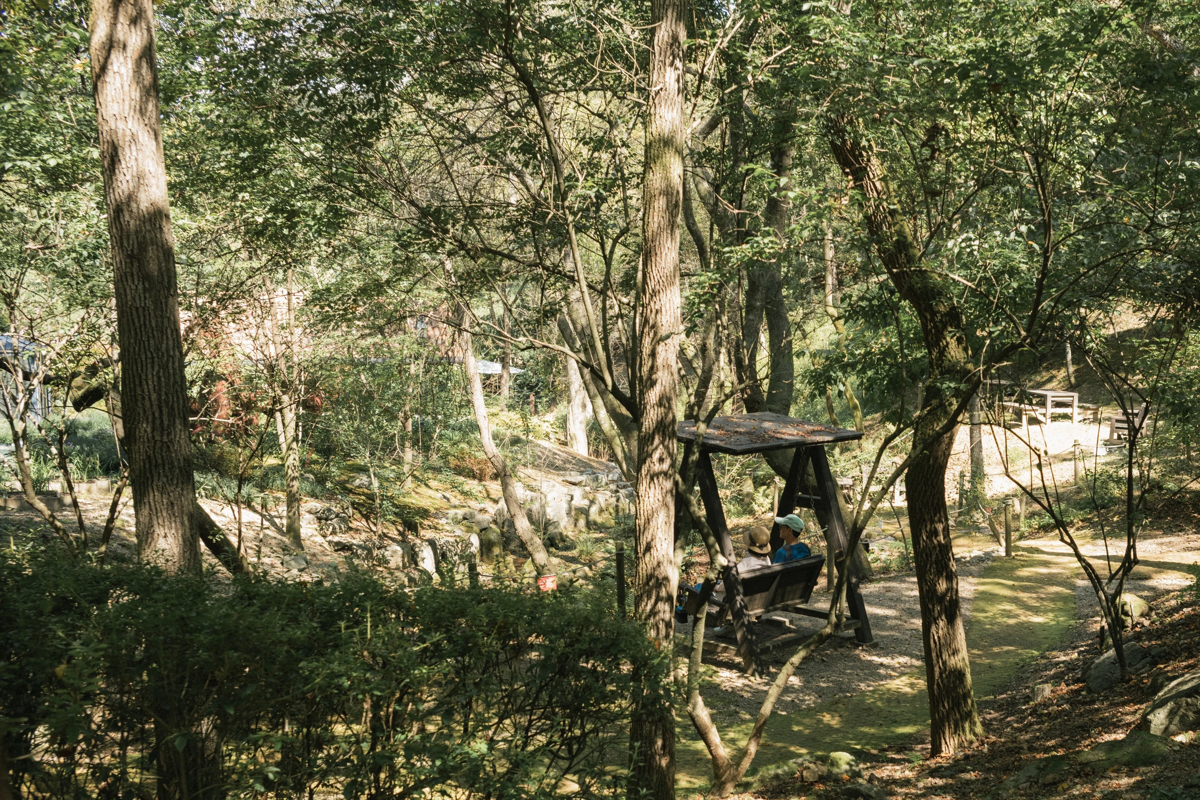 A Seat in the Shade