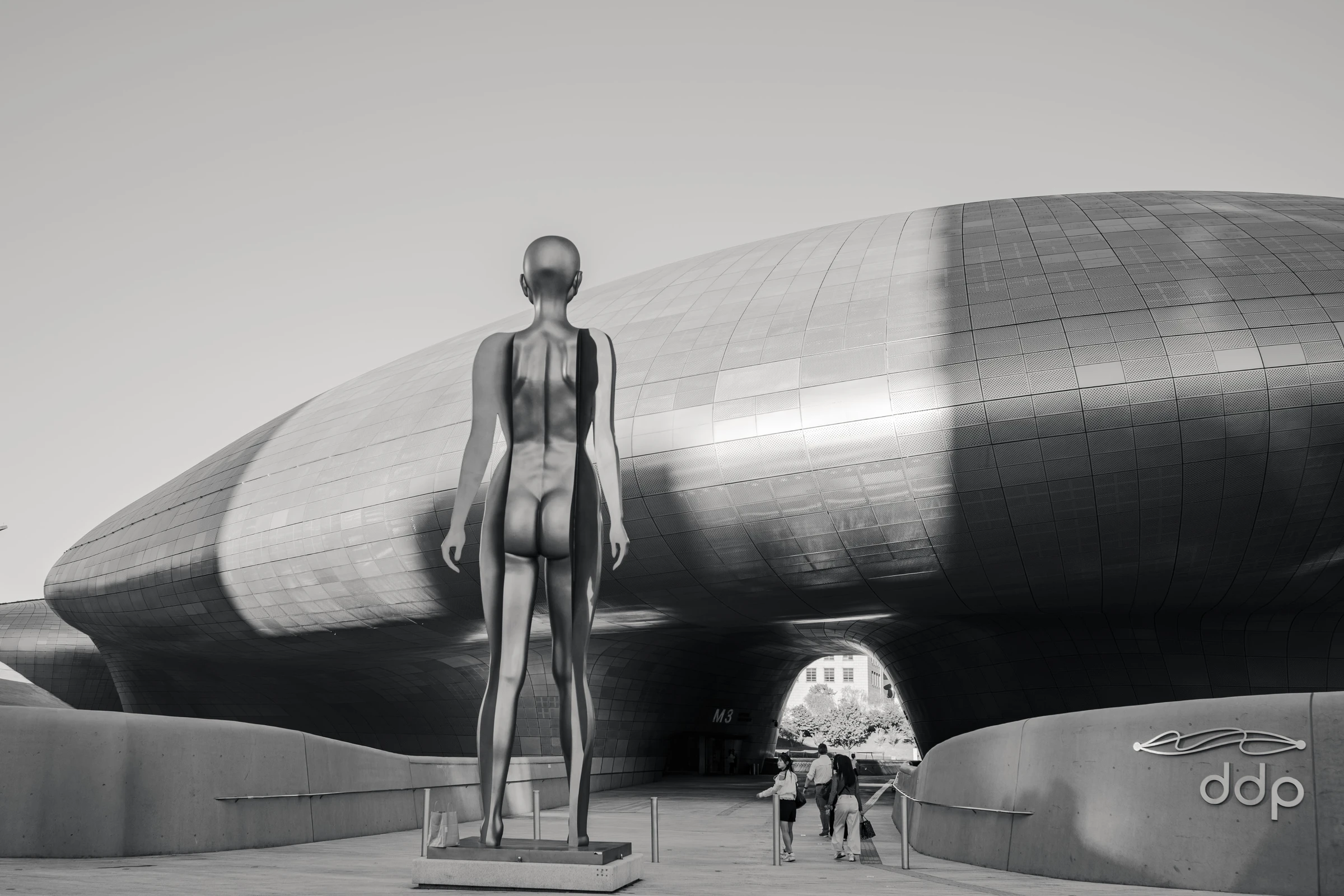 Figure and Curve