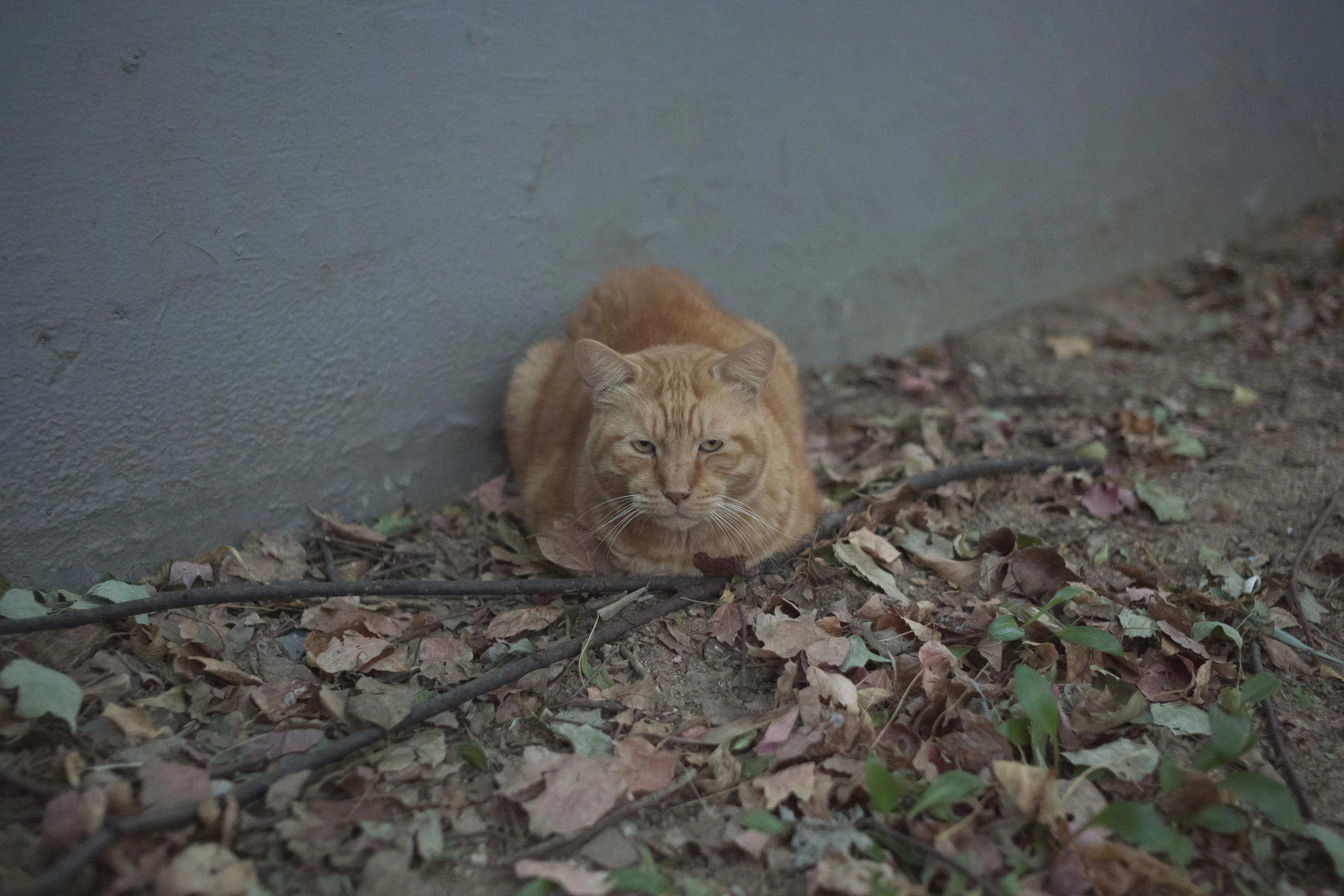 Indifference